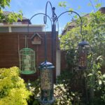 Best squirrel proof bird feeders tested to see how well they protect the feed against squirrels