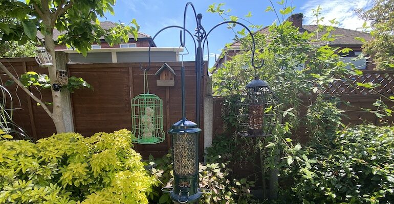 Best squirrel proof bird feeders tested to see how well they protect the feed against squirrels
