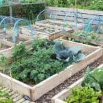 How to make raised beds the easy way - 3 Step by step guides