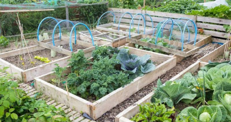 How to make raised beds the easy way - 3 Step by step guides