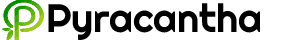 pyracantha site logo