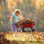 10 tips for dealing with Autumn leaves