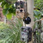 I tested the best garden trail wildlife camera to see how they compared