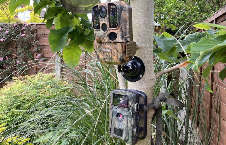 I tested the best garden trail wildlife camera to see how they compared
