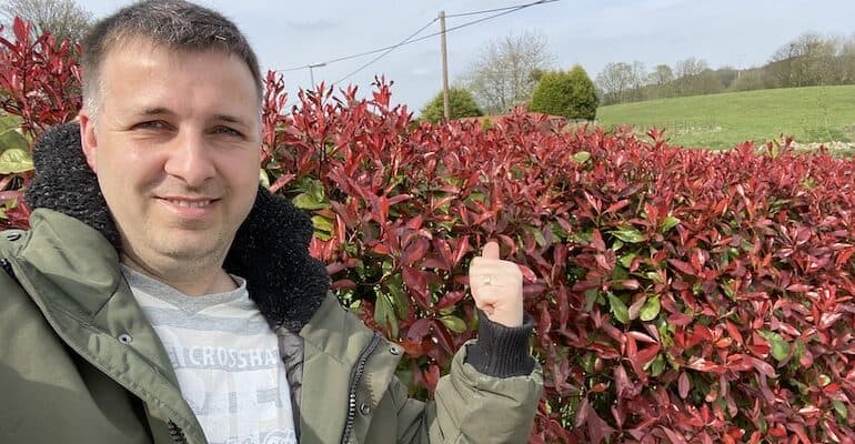 The Photinia Red Robin, is a popular hybrid of the Photinias. This popular Evergreen has beautiful red leaves which is where it gets its name. Read our growing guide now to learn about planting, feeding, pruning and general care.