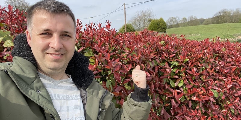 How to Grow Photinia Red Robin and Care Guide