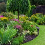 top 10 favourite spring flowering shrubs