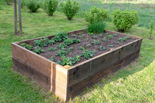 If you are planting in longer containers or raised container beds, for example, you can avoid digging individual holes for each plant and instead just dig a trench where you plan to place each of the strawberries. They're after you can place them into the ground in approximately 10 or 15cm apart.