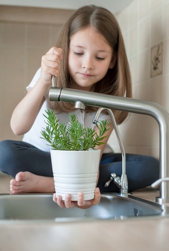 Caring for Rosemary is very simple. You just need to make sure that you water it properly. Check the first six centimetres or so of the soil and if it feels dry then it's time to water. You don't want to let your container stand in water because this can lead to root rot. Rosemary is very strong and doesn't typically require any fertilizer but you can add some dry fertilizer if your plant is looking a little yellow.