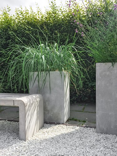 You can, of course, choose to grow your ornamental grasses in containers which gives you the opportunity to cultivate any variety you so choose which simple modifications to the placement in your garden.