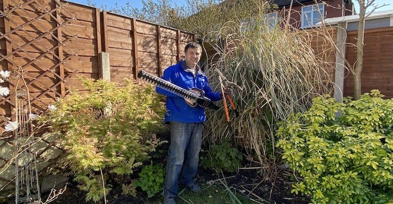 How and when to prune pampas grass