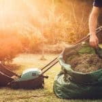 One job that is essential if you want to keep your lawn in tip-top condition is scarifying to remove moss, thatch and weed. learn how to scarify a lawn now.