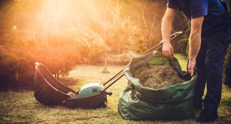 One job that is essential if you want to keep your lawn in tip-top condition is scarifying to remove moss, thatch and weed. learn how to scarify a lawn now.