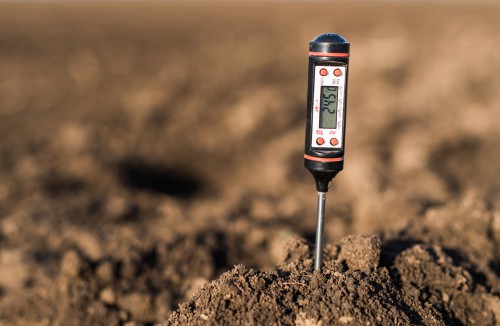 After that, it's important to test the acidity using a home pH test kit. If your soil comes out alkaline, you will need to change your rhododendron because of a mineral deficiency. If it is neutral or far into the acidic level than the soil is fine but it could be a result of hard water especially if your rhododendrons are in pots.