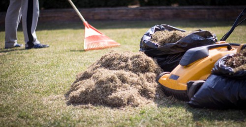 After the process is complete you need to help your lawn recover. The first thing you need to do is add a ferrous sulfate Moss killer if you had a particular problem with moss.