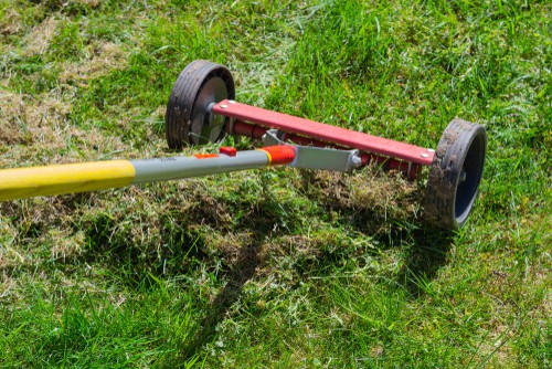 Lawn care - scarify and aerate your lawn to remove moss and thatch