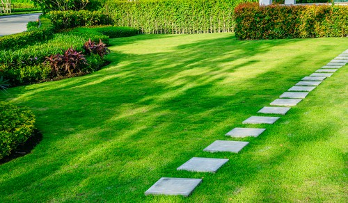 First and foremost, aeration is when you perforate your soil with tiny holes so that the water in the nutrients are able to get down into the soil through those holes as well as fertiliser and it also helps improve drainage.