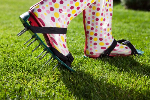 The picture is a simple foot aerator you simply attach to your shoes and walk on the lawn with. You can also get models that look like lawnmowers and handheld models.
