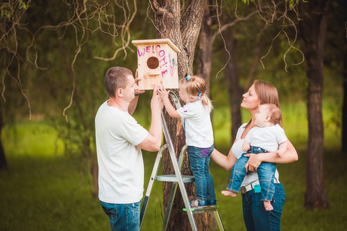 Colocar una caja nido en una cerca, pared o árbol