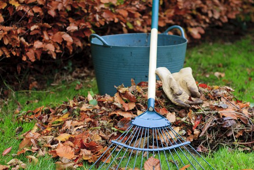 Make sure you clear away all the leaves before winter sets in. The best way to do this is to go over your lawn with your lawn mower.