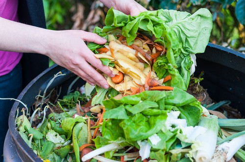 Composting green kitchen waste