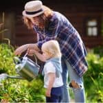 Gardening jobs for August