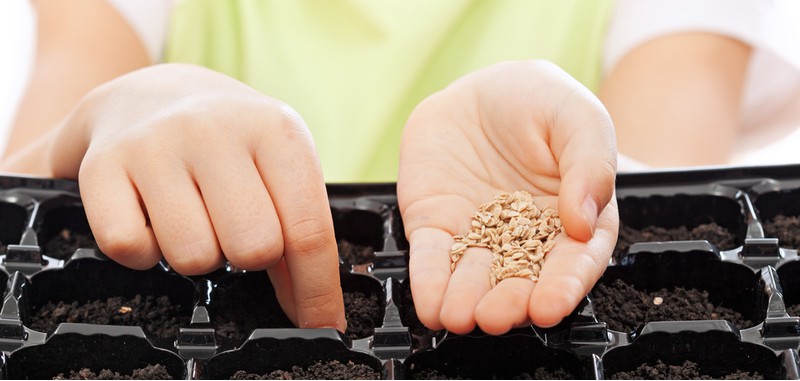 Gardening jobs for February