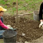 Gardening jobs for March