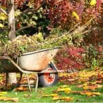 Gardening Jobs For October - Protect tender plants by covering them with fleece or moving them into a greenhouse, collect leaves, divide plants. See our list