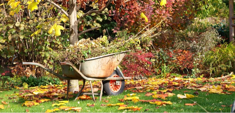 Gardening Jobs For October - Protect tender plants by covering them with fleece or moving them into a greenhouse, collect leaves, divide plants. See our list