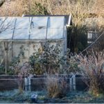 How to heat a greenhouse and everything you need to know