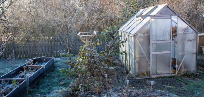 Learn how to heat a greenhouse without electricity or keep it frost free we have some tips from better insulating your greenhouse to other heater alternatives to electric