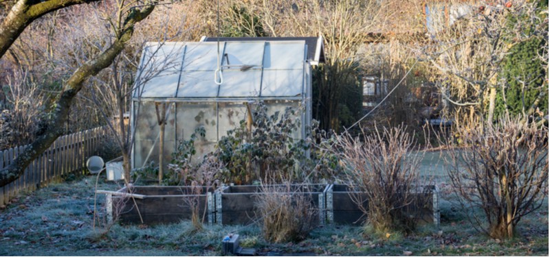 How to heat a greenhouse and everything you need to know