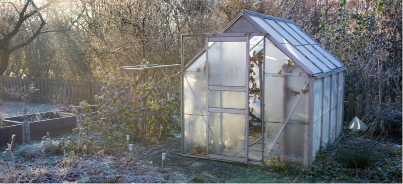 How To Insulate a Greenhouse With Bubble Wrap - Step by Step |  Pyracantha.co.uk