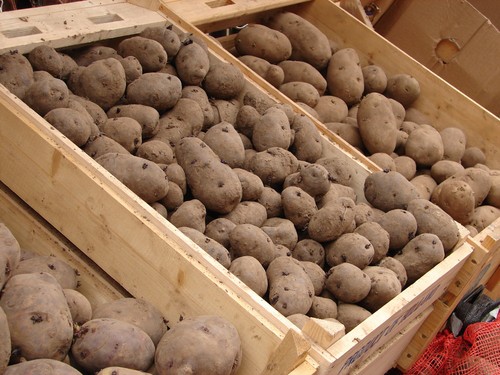 Buy seed potatoes early for the best pick