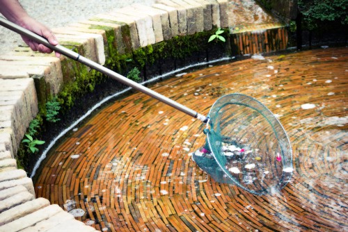 Water features and ponds