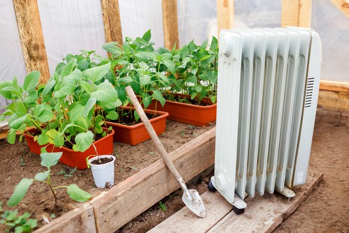 heating greenhouse with electric heater