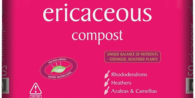 Ericaceous compost - How and when to use it
