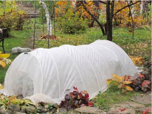 Use a miniature tunnel or straw to protect plants in winter