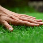 Lawn Care Tips. Looking after your lawn doesn't have to be complicated. Follow our top 10 lawn care tips for a green lawn. From aerating to feeding to removing moss.