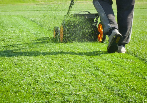 Mow your lawn twice a week in summer and every 2 weeks in spring and autumn. Stop mowing for winter and finish with a shorter final cut