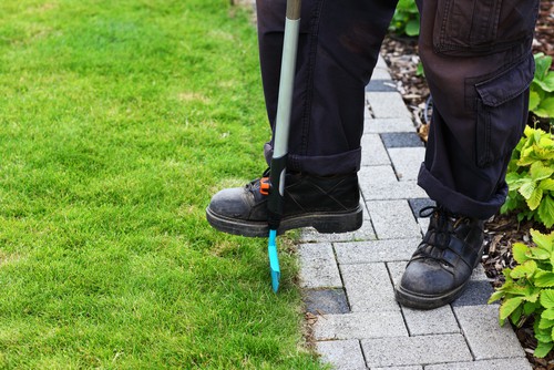 The simple act of edging along the perimeter will go a long way toward achieving the look you want with your garden. With some long-handled shears or lawn edger, you can prevent your grass from growing into your borders, taking over your walkway, or spreading between the cracks of your pavers. This will give a neat and tidy appearance to your garden and will help your lawn to maintain a perimeter. 