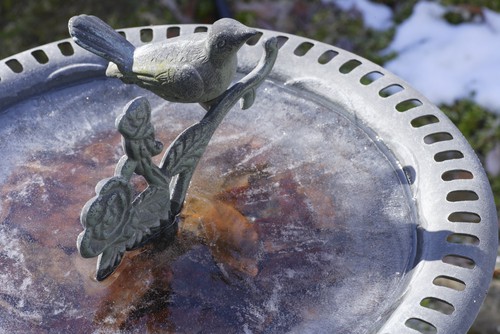 Frozen bird bath in winter