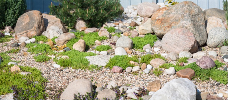 How to create and build an alpine rockery garden