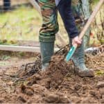 How to improve garden soil to provide the best-growing conditions
