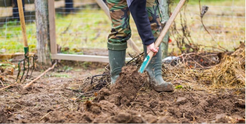 How to improve garden soil to provide the best-growing conditions