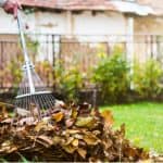 How to make leaf mould and what to use it for