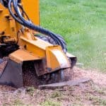 If you have ever had a tree cut down you know the issues with what left, the tree stump. We look at how to remove a tree stump and 5 possible ways to do this.