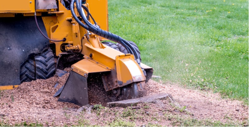 If you have ever had a tree cut down you know the issues with what left, the tree stump. We look at how to remove a tree stump and 5 possible ways to do this.