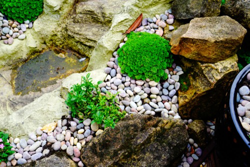 planting a rockery garden